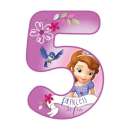 Sofia the First Number 5 Edible Icing Image